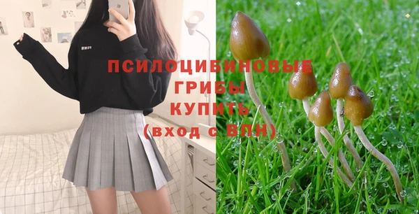крисы Алексин