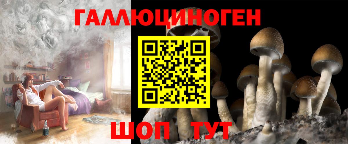 Галлюциногенные грибы мицелий  Лесосибирск 