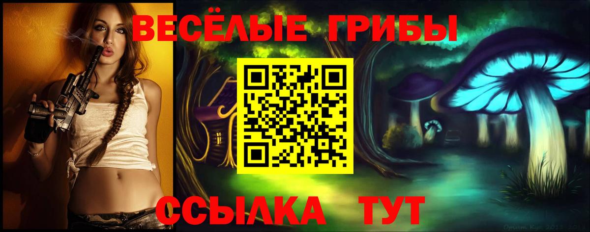Псилоцибиновые грибы Cubensis  Псилоцибиновые грибы Cubensis  Лесосибирск  Вход с VPN 