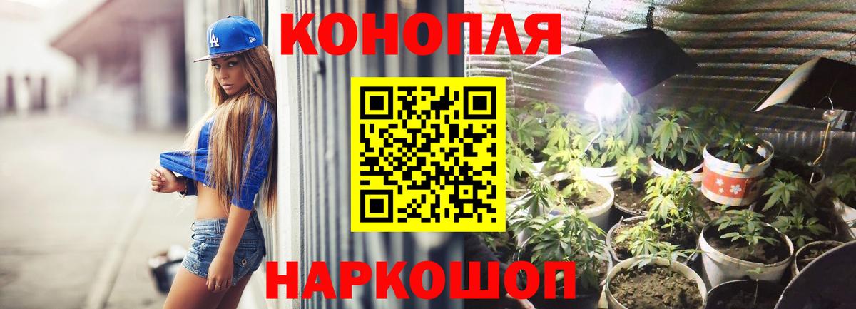 Марихуана гибрид  Каннабис семена  Конопля сатива  Лесосибирск  Канабис Ganja 